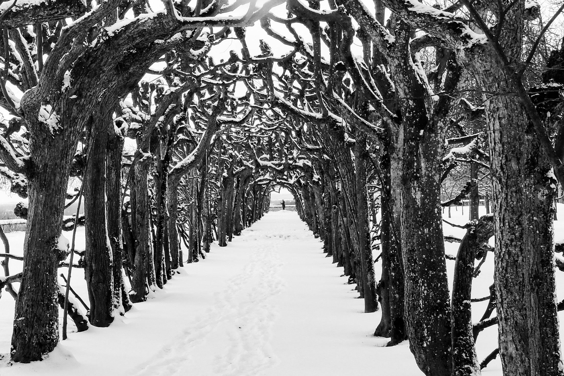 Hinterland Dachau