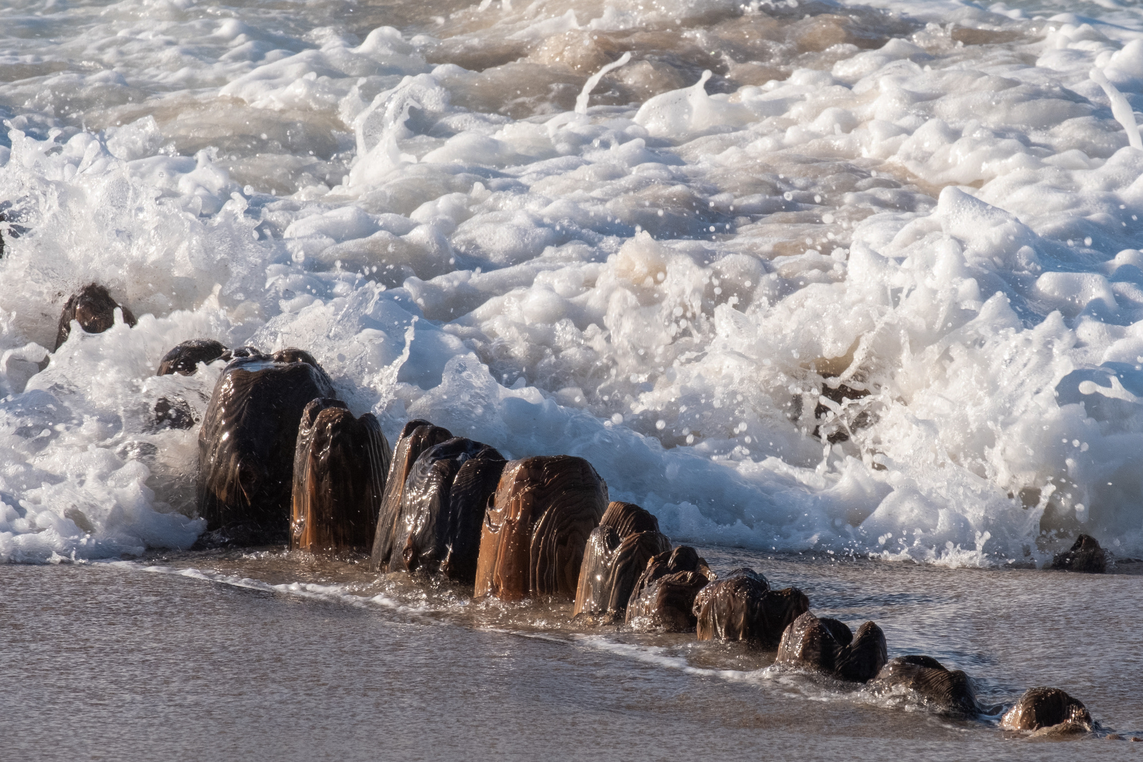 Wattenmeer