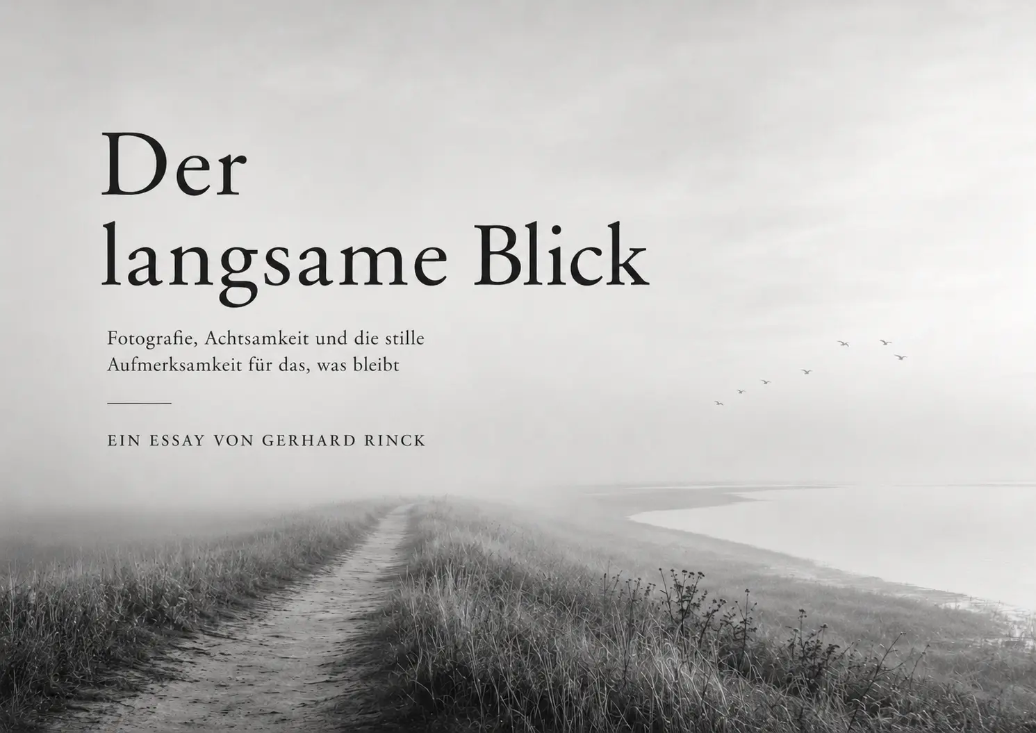 Der langsame Blick